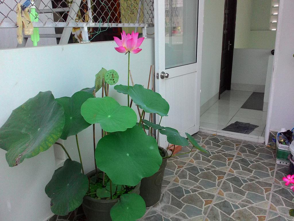 Thien Truc Guest House Nha Trang Exterior photo